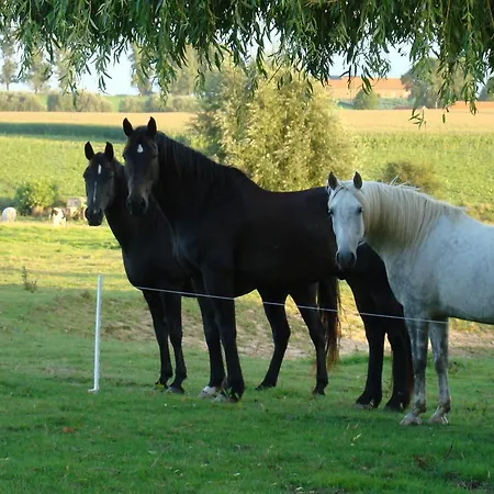 Eeuwenhout Vakantiedomein